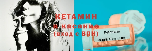 сатива Аркадак