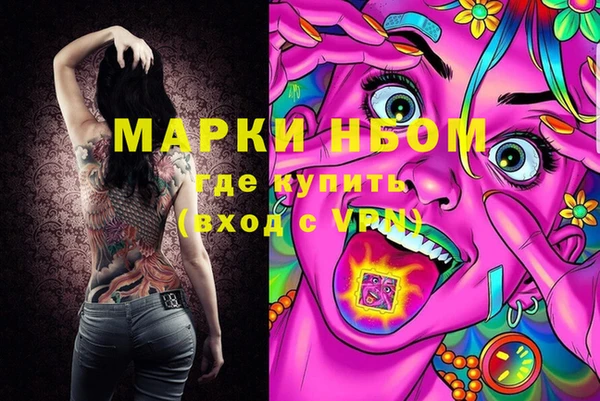 сатива Аркадак